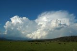 cumulonimbus_calvus