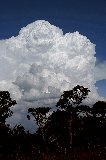 cumulonimbus_incus