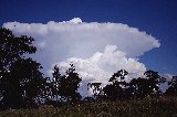 Australian Severe Weather Picture