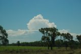 cumulonimbus_calvus