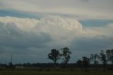 cumulonimbus_calvus