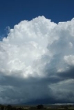 cumulonimbus_calvus