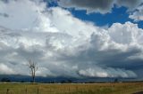 shelf_cloud