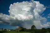 cumulonimbus_calvus