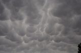 mammatus_cloud