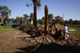 storm_damage