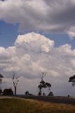 cumulonimbus_calvus