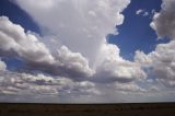 cumulonimbus_incus