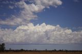 cumulonimbus_calvus