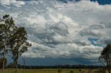 cumulonimbus_incus