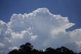 cumulonimbus_calvus