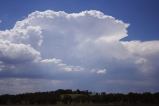 cumulonimbus_incus