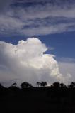 cumulonimbus_calvus