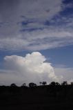 pileus_cap_cloud