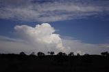 cumulonimbus_calvus