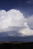 cumulonimbus_incus