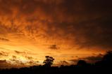 sunset_pictures