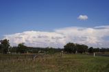 cumulonimbus_incus