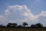 cumulonimbus_incus