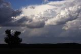 cumulonimbus_incus