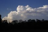 cumulonimbus_incus