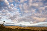 altocumulus_cloud