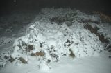 snow_pictures