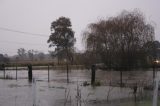 flood_pictures