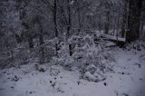 snow_pictures