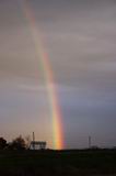 rainbow_pictures