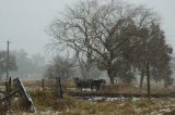 Purchase a poster or print of this weather photo