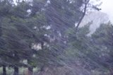 snow_pictures