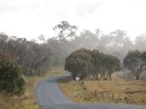 Weather Picture