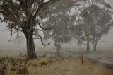 Purchase a poster or print of this weather photo