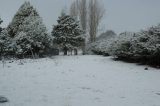 snow_pictures