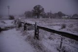 snow_pictures