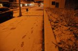 snow_pictures