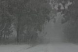 Weather Picture