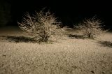 Weather Picture