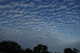 mackerel_sky