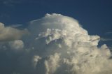 pileus_cap_cloud