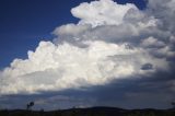 cumulonimbus_calvus