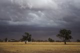 shelf_cloud