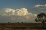 cumulonimbus_calvus