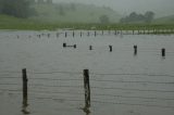 flood_pictures