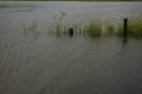 flood_pictures