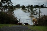 Purchase a poster or print of this weather photo