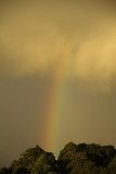 rainbow_pictures