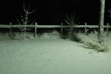 snow_pictures