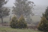 snow_pictures